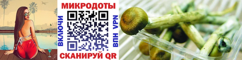 хочу наркоту  Малоархангельск  Галлюциногенные грибы Psilocybine cubensis 